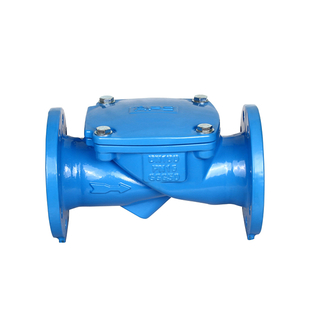 Ductile Iron Flexible Rubber Flap Check Valve