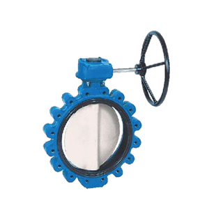 Lug Type Turbine Butterfly Valve