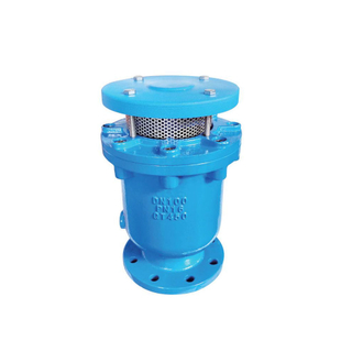 Combined Air Vent Valve