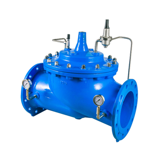 Swing Check Valve